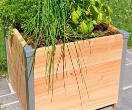 Mon Petit Potager image 3