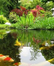 ambienteverde GmbH Bild 2