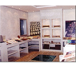 Gallery Cliente