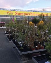Blumenhaus Wosch Bild 1