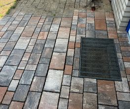 Haus-&Gartenservice Rose Bild 20