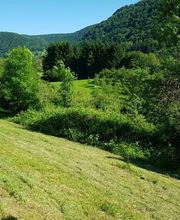 Garten- und Landschaftspflege Ulmann Bild 2