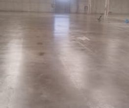219787975-1-tLV3oYFLw41727163856400.jpeg