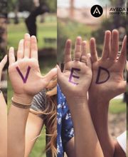 Aveda Institute Avondale image 8