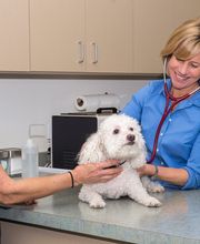 Topaz Veterinary Clinic image 3