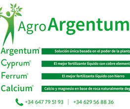 231899741-1-DE0onnHew81716195997526.png