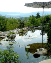 Lashaia Gartenbau GmbH Bild 2