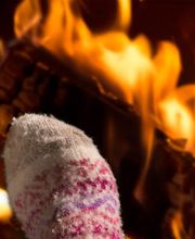 Trachsler + Co Bild 1