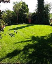 Végétal Fleurs Et Jardins image 1