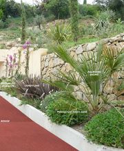 Landscape Terrassements image 2