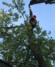 Agri Energie 62 SARL image 5