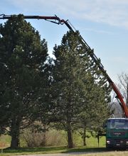 Denis Sippel SA Bild 1