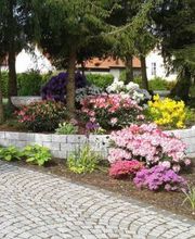 Baumschule Kreutzer Bild 6