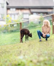 Karin Isch - inner balance coaching - und Wohlfühl-Erlebnisse mit Alpakas Bild 7