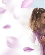 palmira_banner.jpg