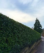 WhatsApp Image 2026-01-31 at 19.27.39 (2).jpeg