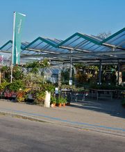 Blumen Schenk Bild 3