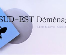 Sud-Est Déménagement image 5