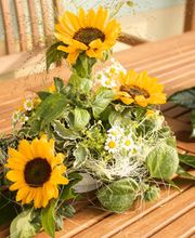 Blumen Rosenrot Bild 5