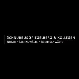 Schnurbus, Spiegelberg & Kollegen