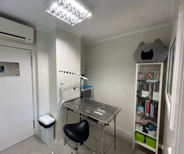 219364403-1-0wFvDrnIsq1729610615211.jpeg