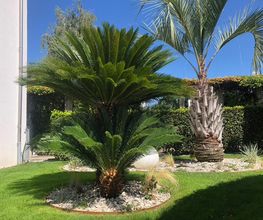 Magic Garden Sagl Bild 5