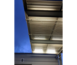 Gerling GmbH Schädlingsbekämpfung Bild 2
