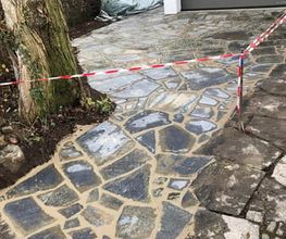 Kaleta Dienstleistungen rund ums Haus Bild 12