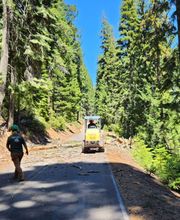 Southern Oregon Tree Care LLC image 6
