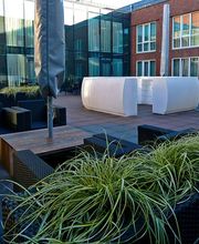 Patio/Terrace
