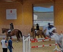 Manège de la Sallivaz & Poney club Bild 4