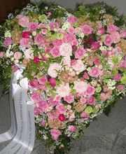 Stalder Bestattungen Region Entlebuch Wolhusen und Umgebung Bild 4