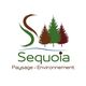 Sequoia