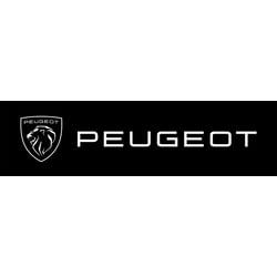 Peugeot-BlocMarque-Horizontal-Flat-RVB-DBG.jpg