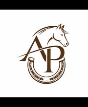 Marechal Ferrant Payet Anthony image 5