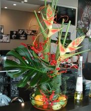 Blumenpanorama Hosch GmbH & Co. KG Bild 4