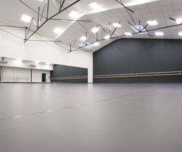 DKDanse image 6