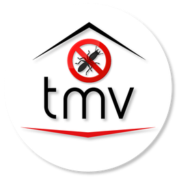 TMV