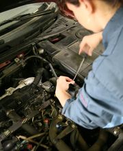 CFA DU GRAND BERGERACOIS image 5