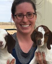 Marshfield Veterinary Service image 5