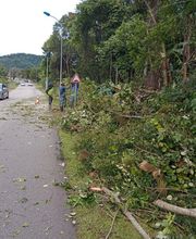 Services De Nettoyage image 6