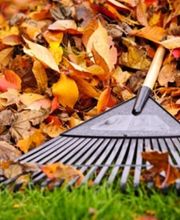 Hausmeisterservice Wedel Bild 5