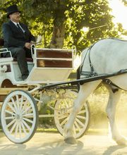 TEMECULA CARRIAGE COMPANY image 1