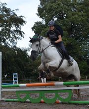 Reiterhof Daugzin C. Edel & E. Berkhahn GbR Bild 12