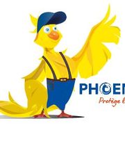 Phoenix image 1