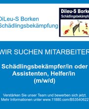Schädlingsbekämpfer/in oder Assistenten, Helfer/in (m/w/d)