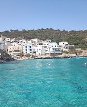 Tour Egadi immagine 8