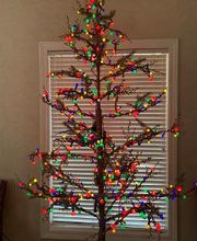 Kosciusko Dental Clinic image 8