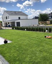 Gartenlandschaftsbau Ebert Bild 5