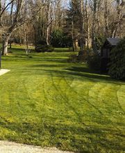 Morvan Emmanuel image 1